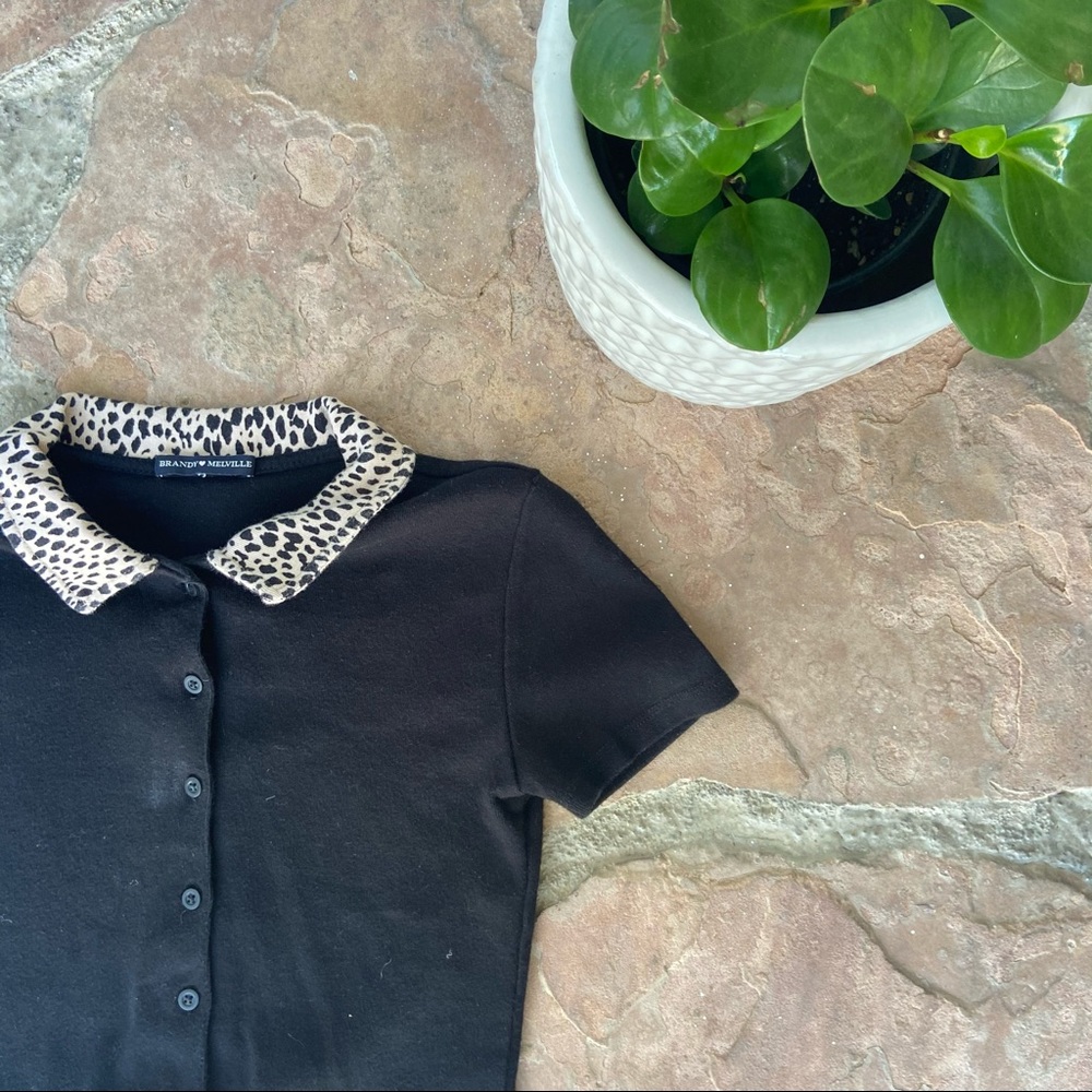 Brandy Melville Cheetah Top